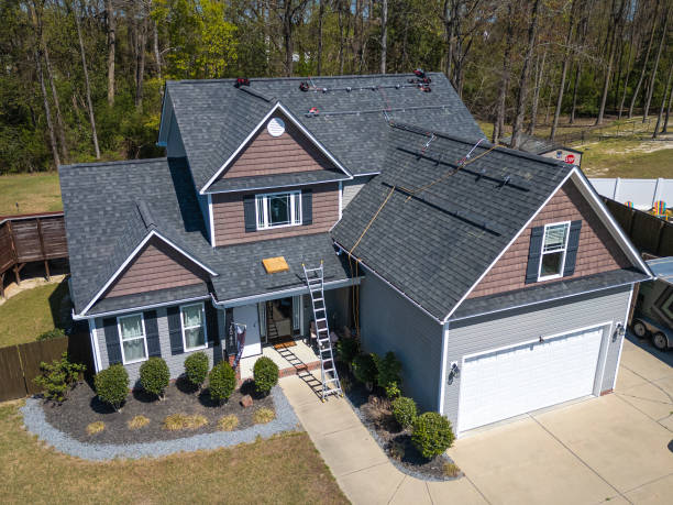 Best Roof Moss and Algae Removal  in Oxford, AL